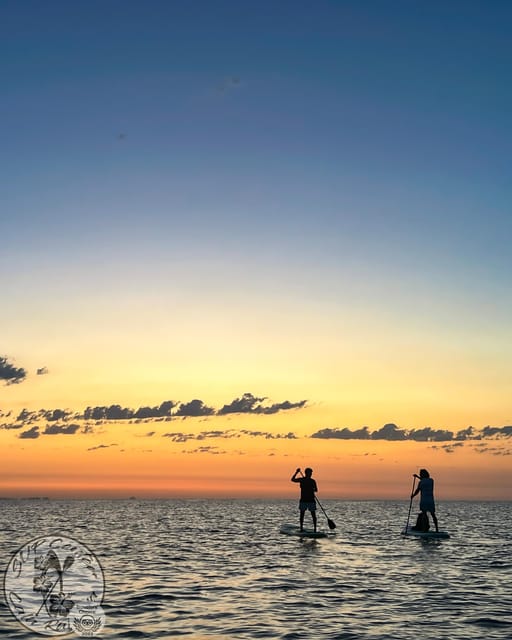 Cala Ratjada: Stand Up Paddle Sunrise Tour - Cala Ratjada at first light: key points
