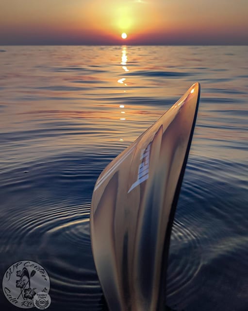 Cala Ratjada: Stand Up Paddle Sunrise Tour - Why sunrise works so well from a paddleboard