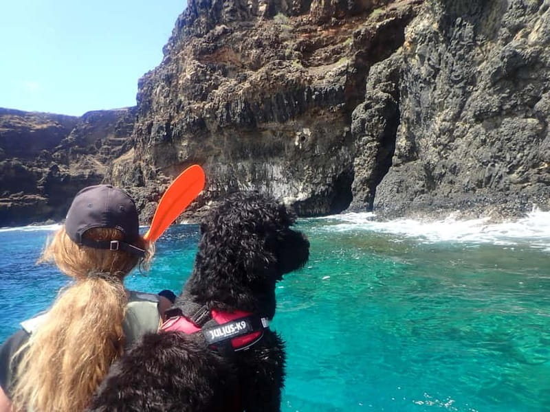 Calheta Kayak Tour - Why the guide makes a difference