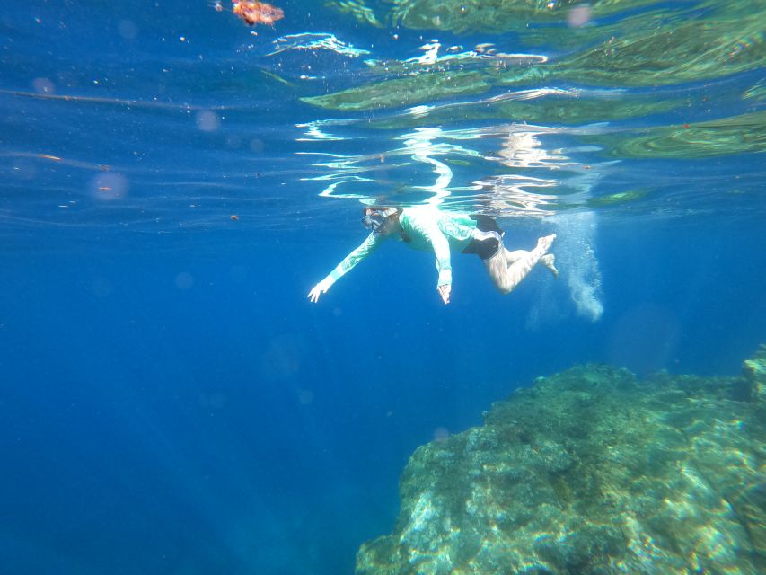 Câmara de Lobos: Private Guided Kayaking Tour in Madeira - Should you book it?