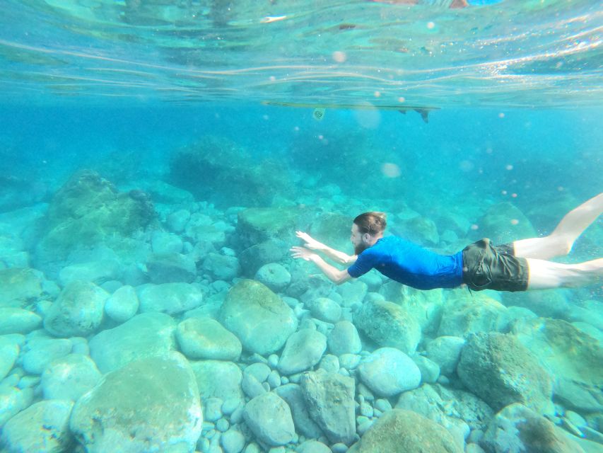 Câmara de Lobos: Private Guided Kayaking Tour in Madeira - Clear water, snorkeling, and sea life