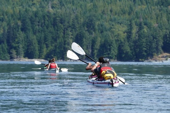 Campbell River: Kayaking and Whale Watching Tour - Why this Campbell River day works so well
