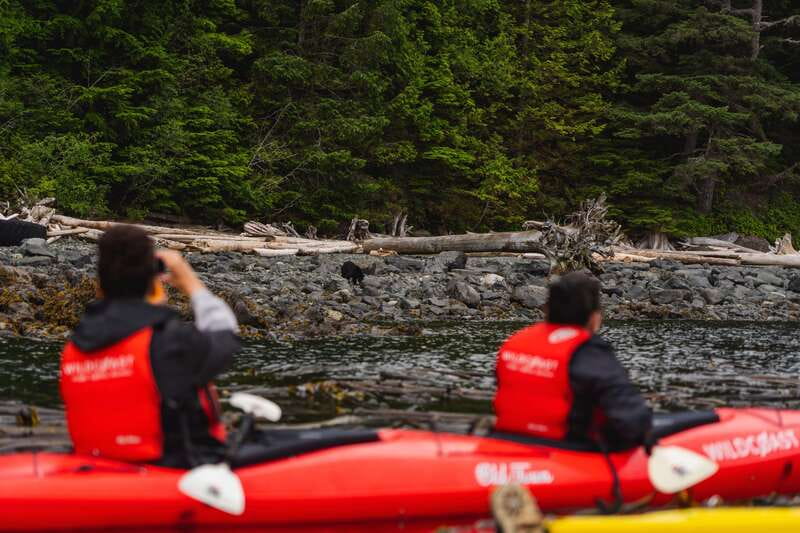 Campbell River: Kayaking and Whale Watching Tour - A day split between paddle and boat