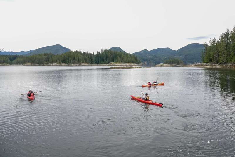 Campbell River: Kayaking and Whale Watching Tour - Looking for whales aboard Wild 1