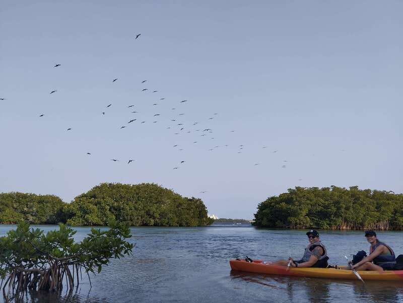 Cancun: Kayaking Tour in Nichupte Lagoon - The practical verdict