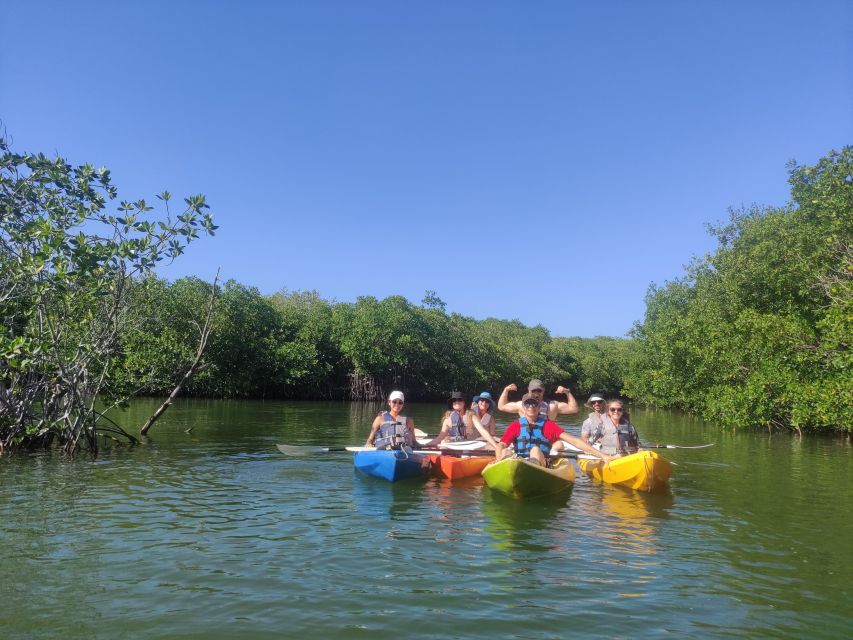 Cancun: Kayaking Tour in Nichupte Lagoon - Inside the mangrove tunnels