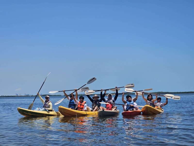 Cancun: Kayaking Tour in Nichupte Lagoon - Who will enjoy this kayak tour most