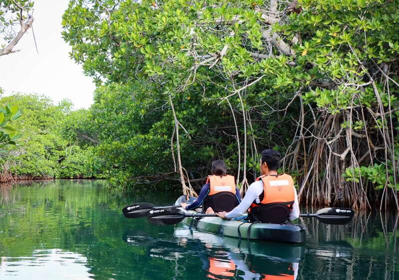 Cancun: Morning Kayak Adventure - Second 45 minutes: more channels, more wildlife