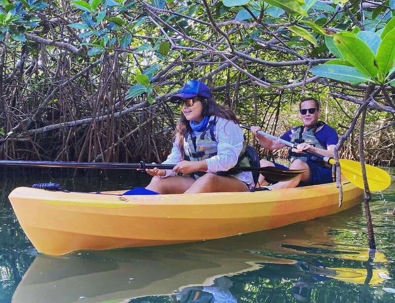 Cancún: Morning or Sunset Kayak Adventure in Nichupte Lagoon - Key points at a glance