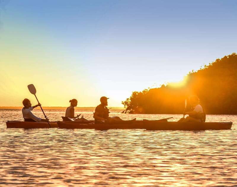 Cancún: Morning or Sunset Kayak Adventure in Nichupte Lagoon - A quieter side of Cancún on Nichupté Lagoon