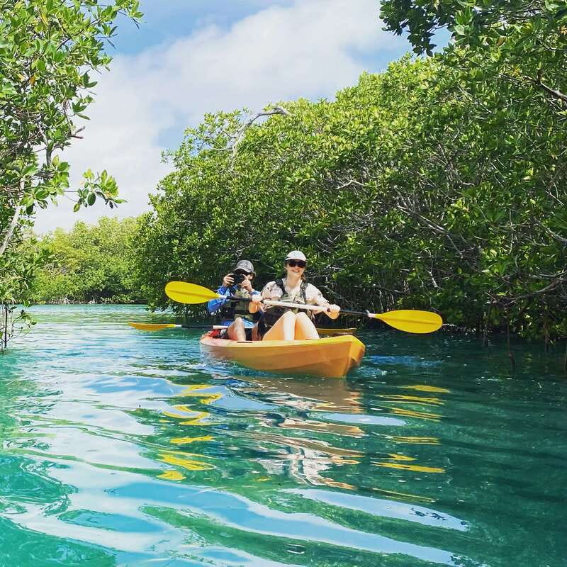 Cancún: Morning or Sunset Kayak Adventure in Nichupte Lagoon - First paddle through the mangroves