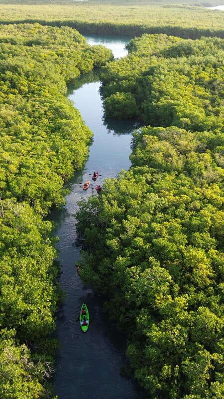 Cancun: Sunset Kayak Experience in the Mangroves - Why Nichupté Lagoon feels far from Cancun