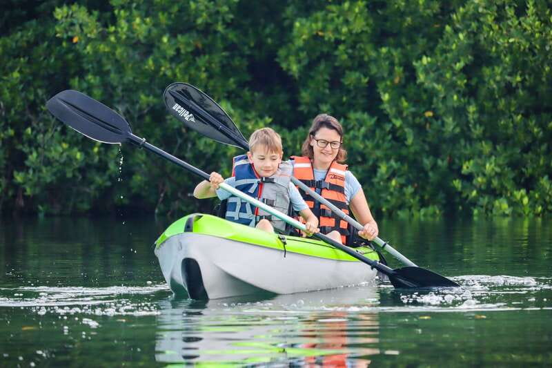 Cancun: Sunset Kayak Experience in the Mangroves - Starting with a 15-minute lesson