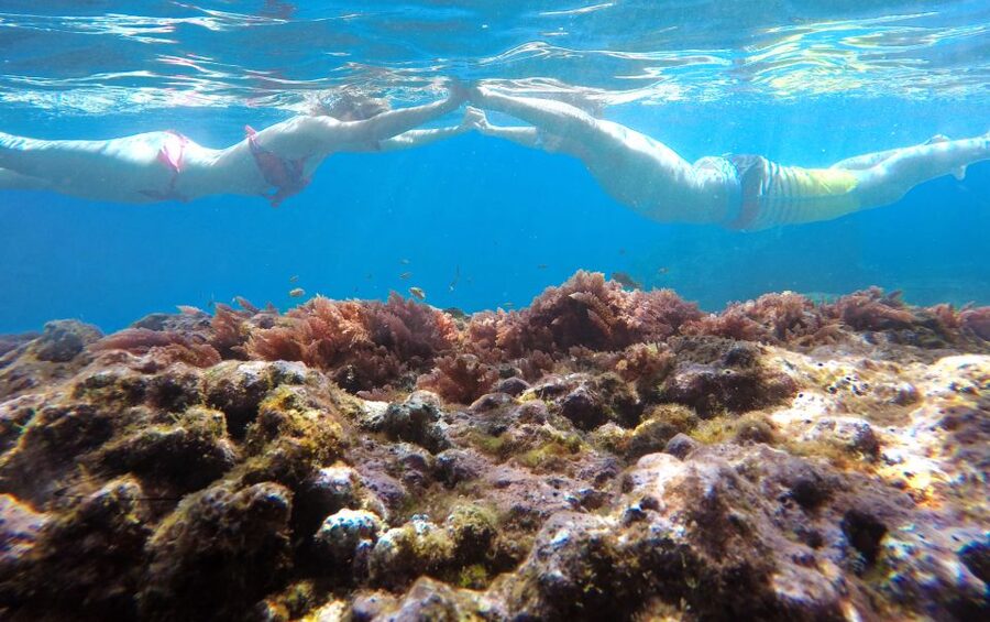 Caniço, Madeira: Marine Reserve Kayak & Snorkelling Tour - Kayaking along the Caniço coast