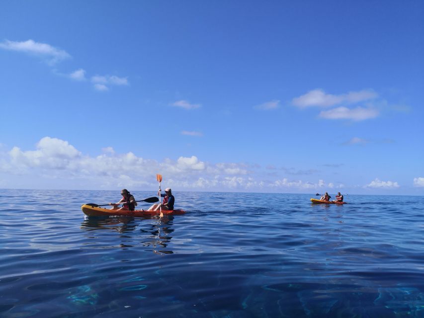 Caniço, Madeira: Marine Reserve Kayak & Snorkelling Tour - Who will enjoy this most