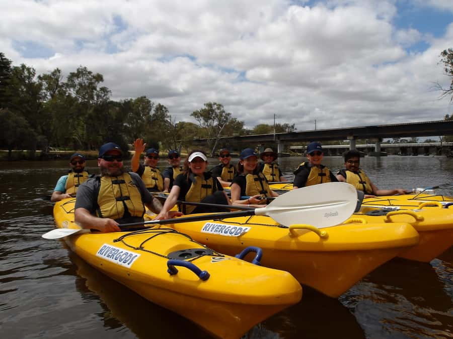 Canning River Half-Day Kayak Wildlife Tour - Bird watching from water level