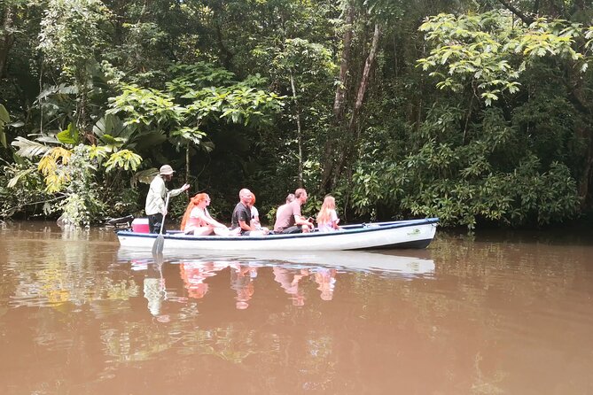 Canoe tour dentro del Parque - Entering Tortuguero National Park by canoe