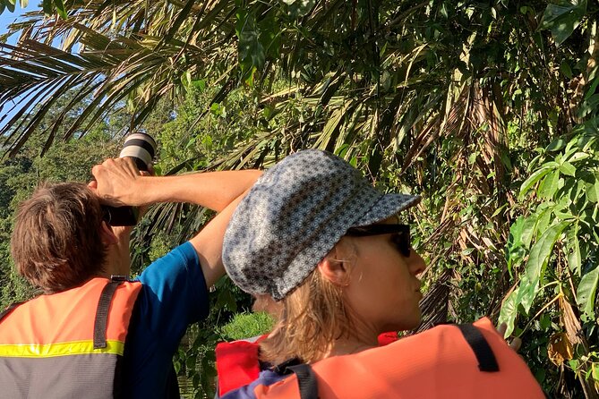 Canoe tour - Looking for caimans, crocodiles, and iguanas