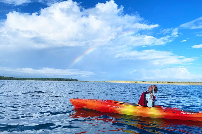 Cape Cod Kayak Rentals in the Great Marsh - Is $50 a good value?