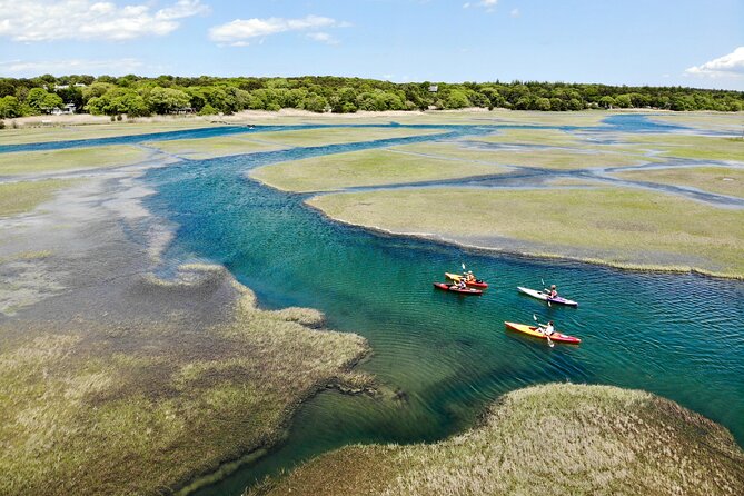 Cape Cod Kayak Rentals in the Great Marsh - Who will enjoy this most