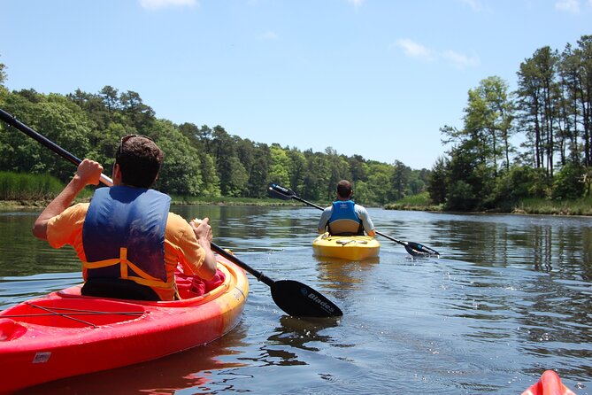 Cape Cod Sunset Kayak Tour - Why sunset is the right time for Popponesset Bay