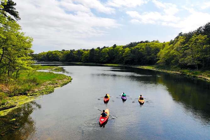Cape Cod Sunset Kayak Tour - Who will enjoy this two-hour trip most?
