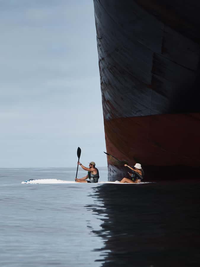 Cape Town: Dolphin & Ocean Wildlife Kayaking Adventure ⚓️ - Who will enjoy this kayak tour most