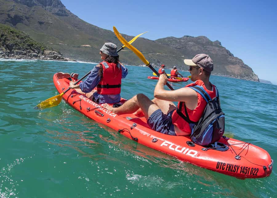 Cape Town: Guided Kayak Tour - Why Hout Bay Works So Well by Kayak