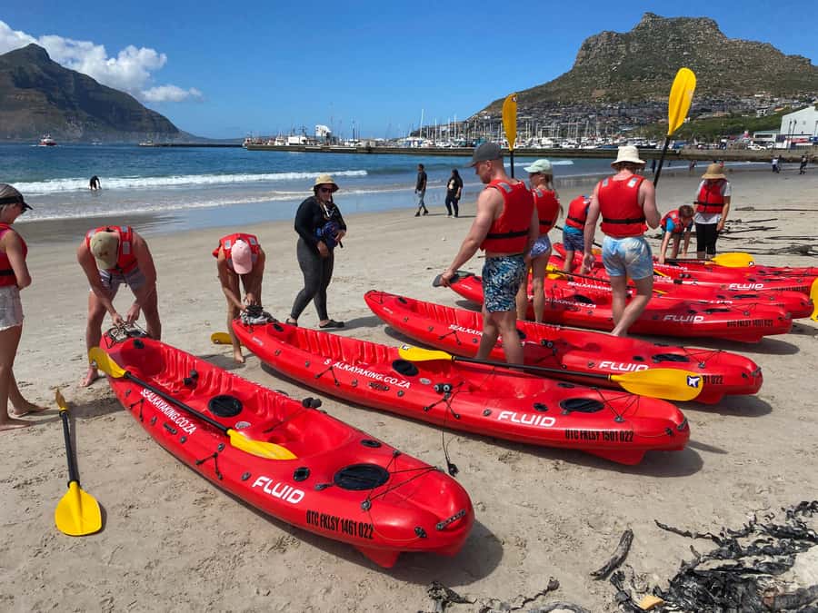 Cape Town: Guided Kayak Tour - Under the Jetties at the Green Room