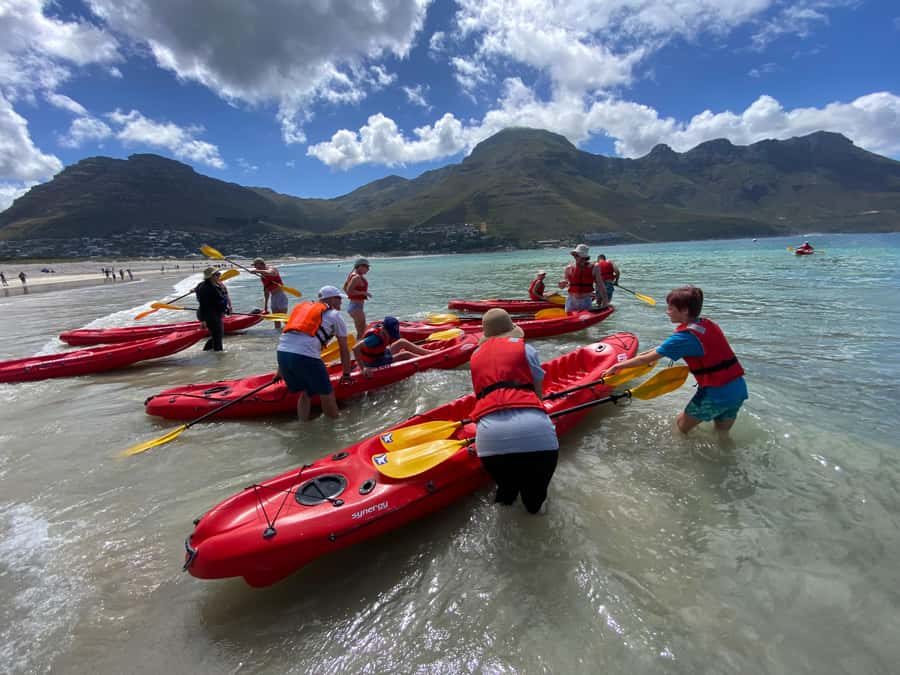 Cape Town: Guided Kayak Tour - Meeting the Cape Fur Seals
