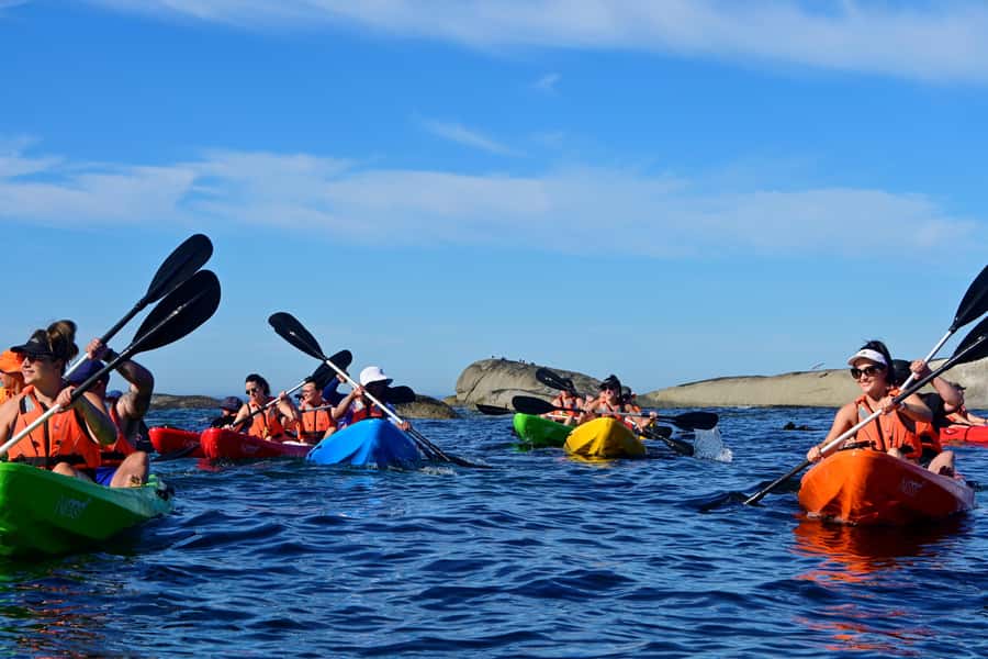Cape Town: Guided Kayak Tour of Clifton Beaches & The Coast - Why Clifton looks better from a kayak