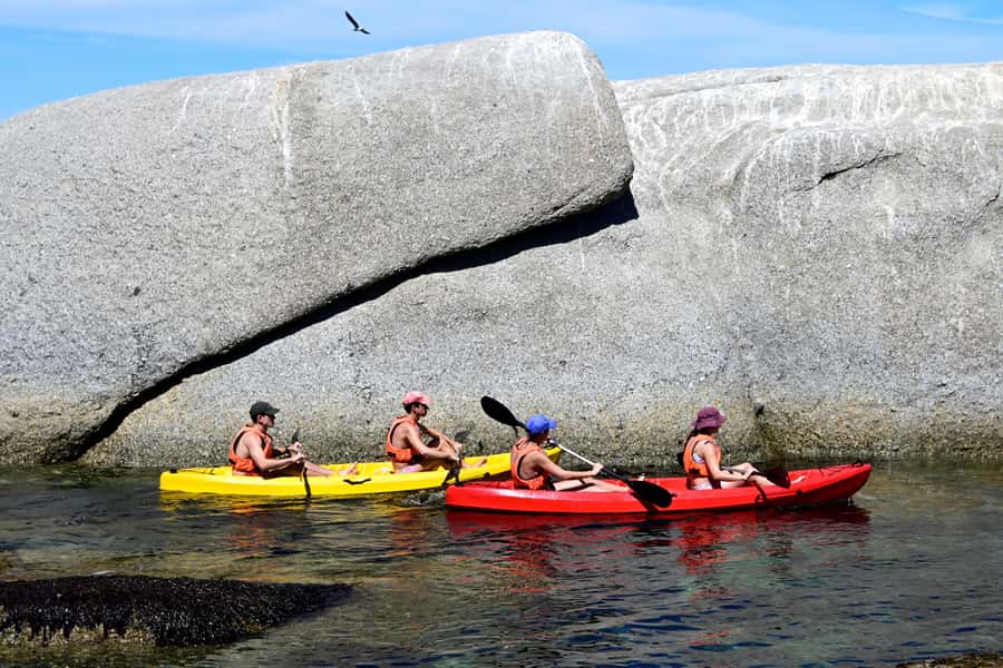 Cape Town: Guided Kayak Tour of Clifton Beaches & The Coast - Seals, kelp, and the rock pools near Maiden’s Cove