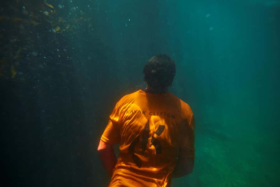 Cape Town: Guided Kayak Tour of Clifton Beaches & The Coast - Practical tips for a smoother outing