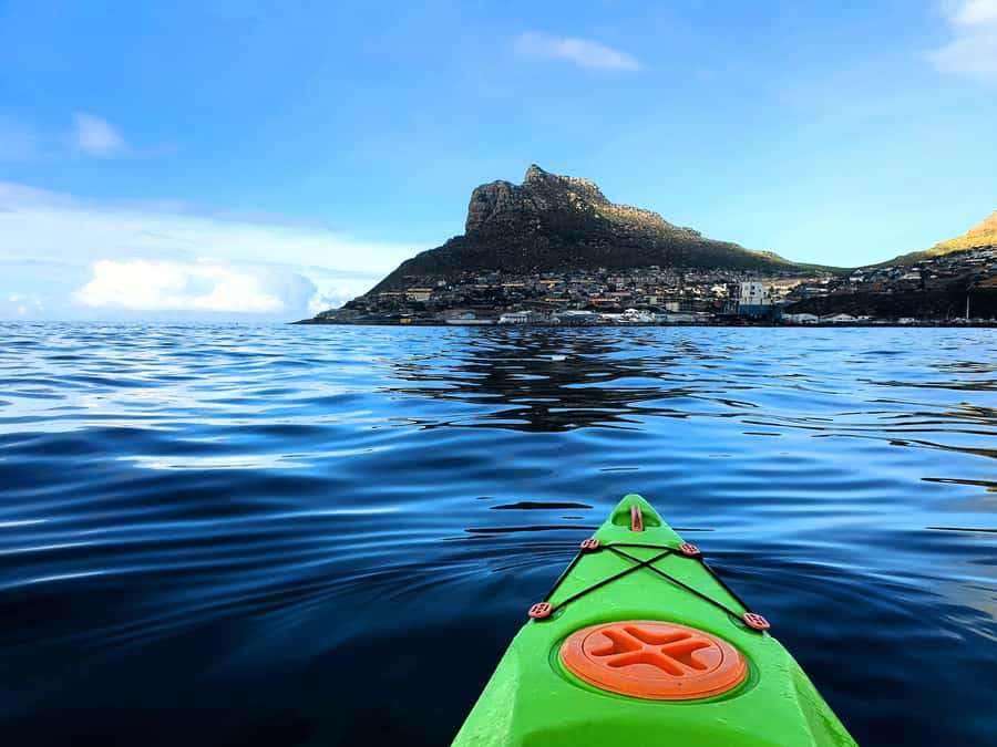 Cape Town: Guided Kayaking in Hout Bay - The first strokes are friendly to beginners