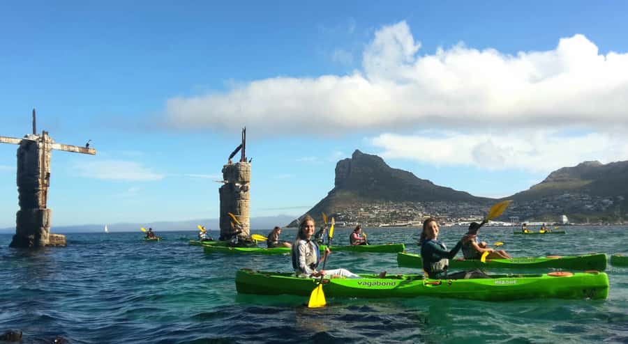 Cape Town: Guided Kayaking in Hout Bay - Wildlife: seals first, dolphins if you are lucky