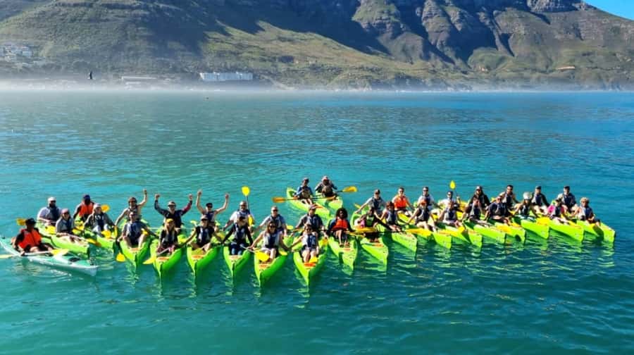Cape Town: Guided Kayaking in Hout Bay - Who should book this kayaking tour?