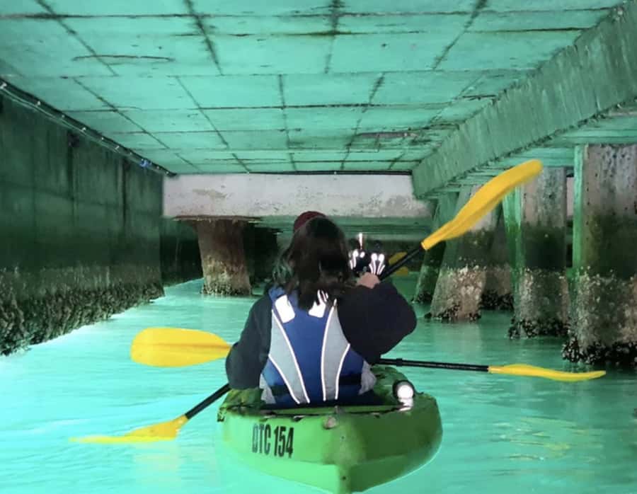 Cape Town: Guided Kayaking in Hout Bay - Starting beside Ground Up Café