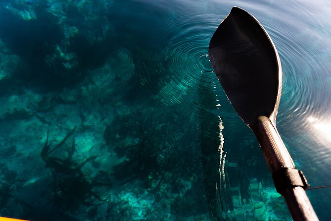 Cape Town Kayak Adventure in Table Mountain Marine Reserve - Your first 30 minutes at Three Anchor Bay
