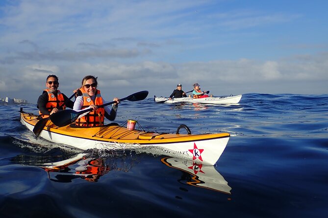 Cape Town Kayak Adventure in Table Mountain Marine Reserve - Wildlife is the bonus, not the promise
