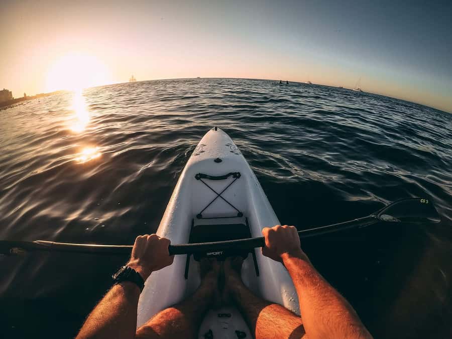Cape Town: Marine Life Kayak Tour From the V&A Waterfront - Should you book the Atlantic Outlook kayak tour?