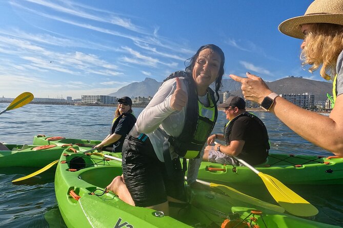 Cape Town Sea Kayaking Adventure launching from V&A Waterfront - Wildlife is possible, but not promised