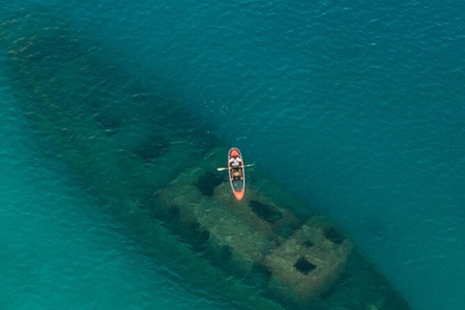 Carlisle Bay Clear Kayak Shipwreck Tour - Three wrecks, turtles, and the animals below