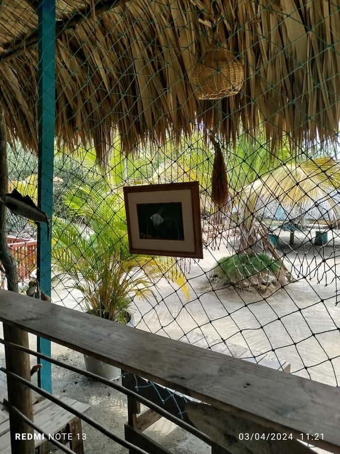 Cartagena: FISHERMEN'S ISLAND IN THE MANGROVES by canoe - Key points to know before booking