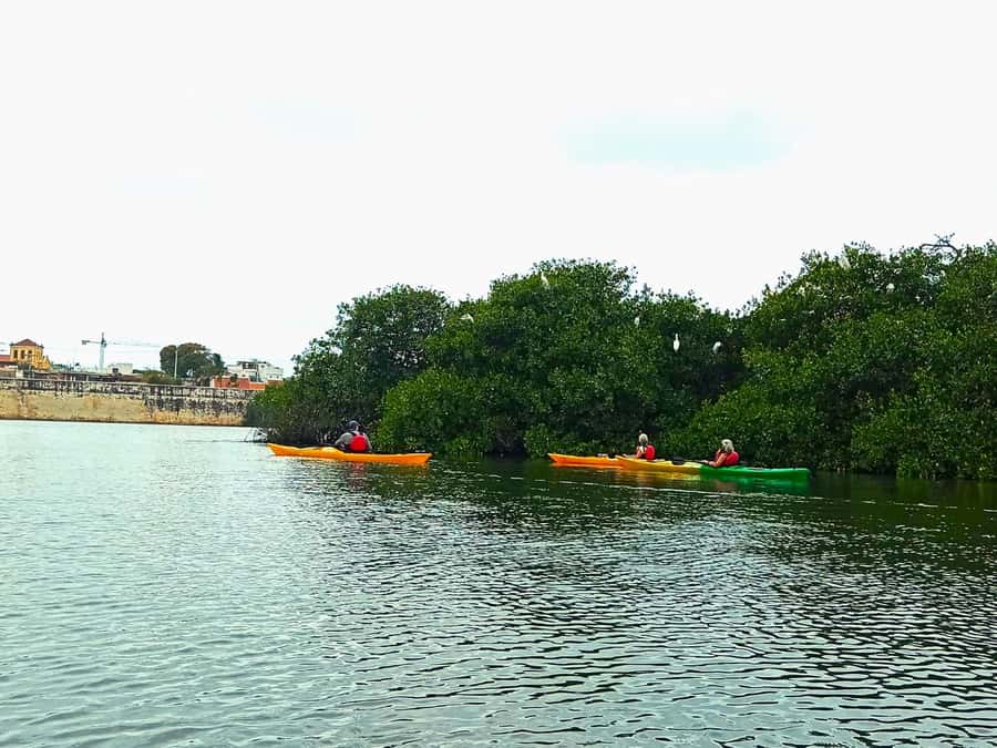 Cartagena: Walled City Kayak Tour - How the small group changes the outing