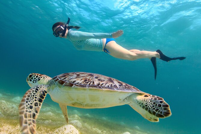 Cas Cay - Kayak Hike and Snorkel Adventure - Paddling out from Mangrove Lagoon Marina
