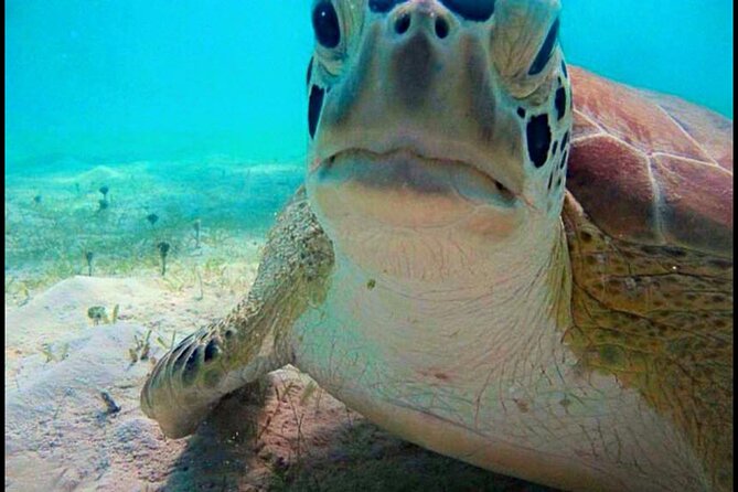 Cas Cay - Kayak Hike and Snorkel Adventure - Who should book this adventure