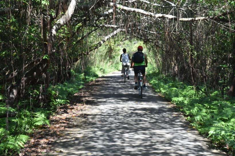 Cat Ba: Full- day trip with biking, kayaking, meal, tickets - Ba Trai Dao: a short swim with a high view