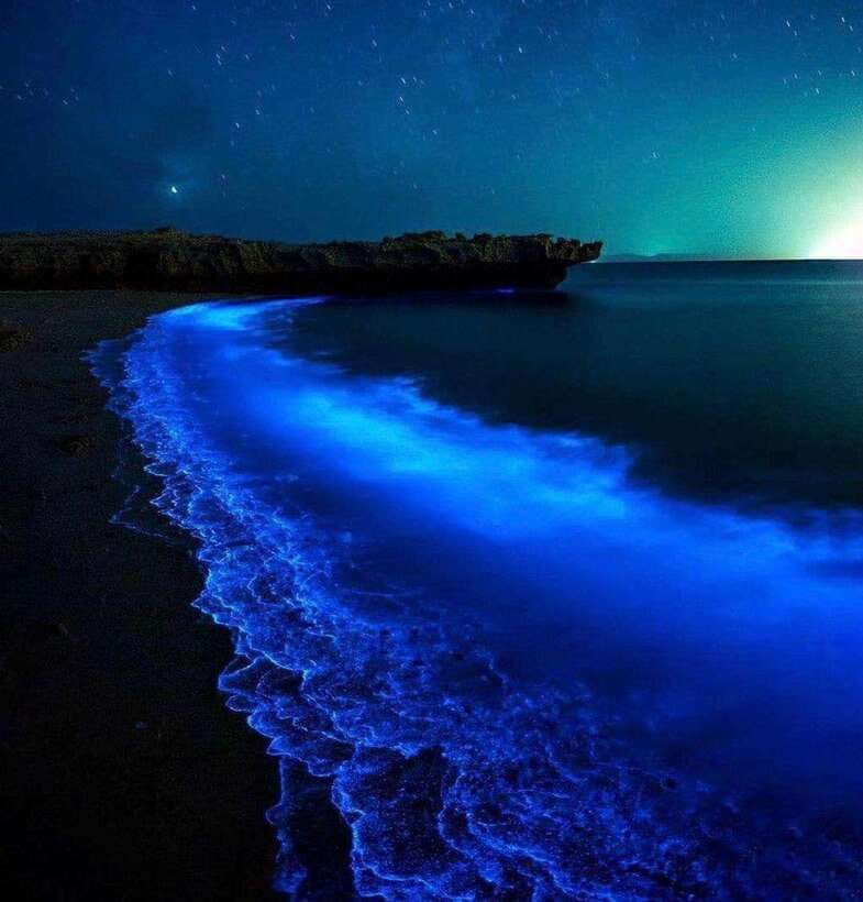 Cat Ba Island: Lan Ha Bay Bioluminescence Plankton Kayaking - Key points at a glance