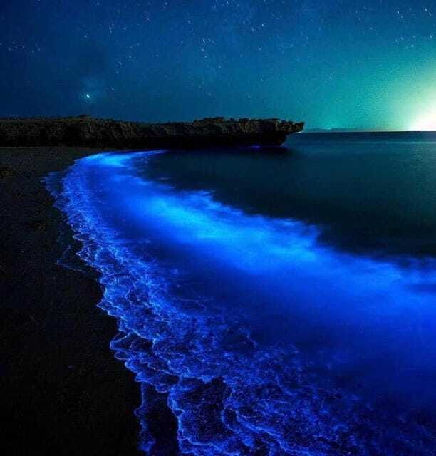 Cat Ba Island: Lan Ha Bay Bioluminescence Plankton Kayaking - Timing, cancellations, and practical value