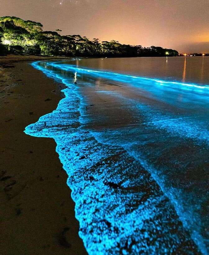 Cat Ba Island: Lan Ha Bay Bioluminescence Plankton Kayaking - Starting at Bến Bèo and heading into Lan Ha Bay